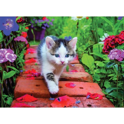 Puzzle 500 p - Douceur de chaton, Puzzle adulte, Puzzle, Produits