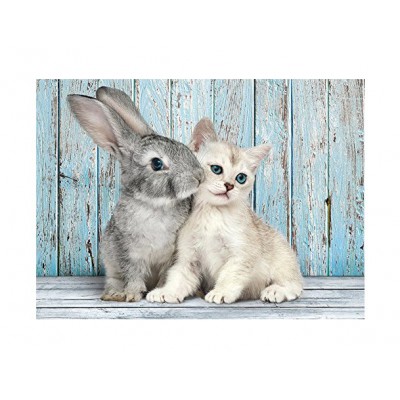 Puzzle Chat Et Lapin Clementoni Pi Ces Puzzles Chats