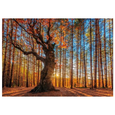 Wentworth-640101 Puzzle en Bois - The King of the Forest