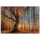 Puzzle en Bois - The King of the Forest