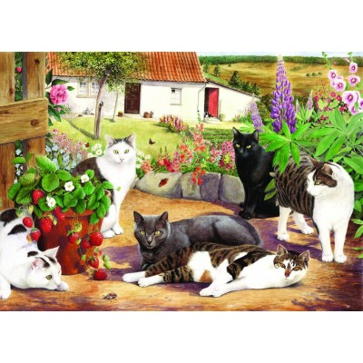 Puzzle The-House-of-Puzzles-1585 Pièces XXL - Cool Cats