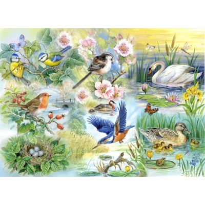 Puzzle The-House-of-Puzzles-1899 Pièces XXL - Feathered Friends