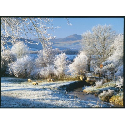Puzzle The-House-of-Puzzles-2803 Pièces XXL - Touch Of Frost
