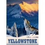 Puzzle  Alipson-Puzzle-50008 Loup de Yellowstone