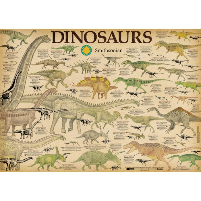 Dinosaures