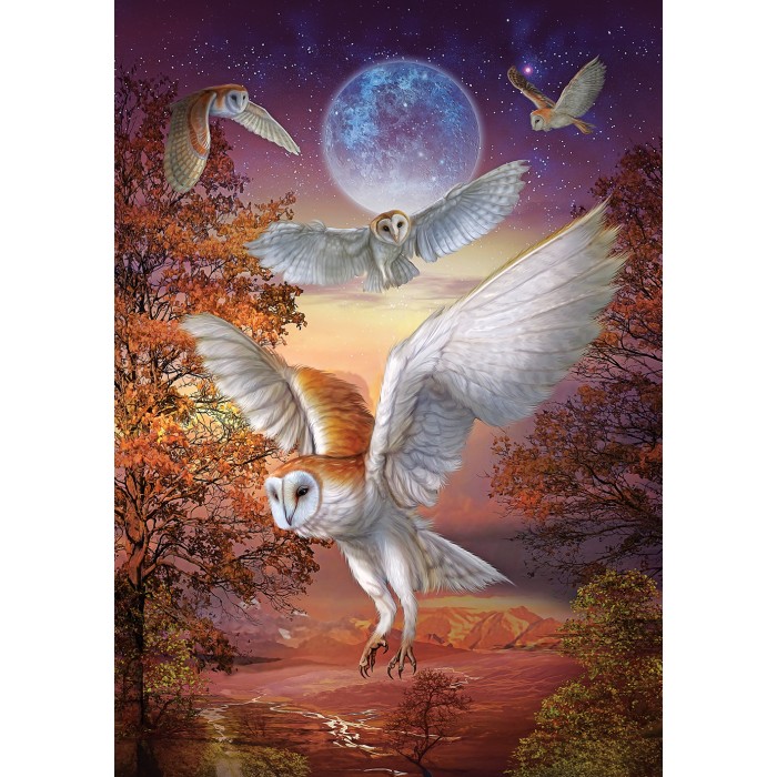 Puzzle   Hiboux au Clair de Lune
