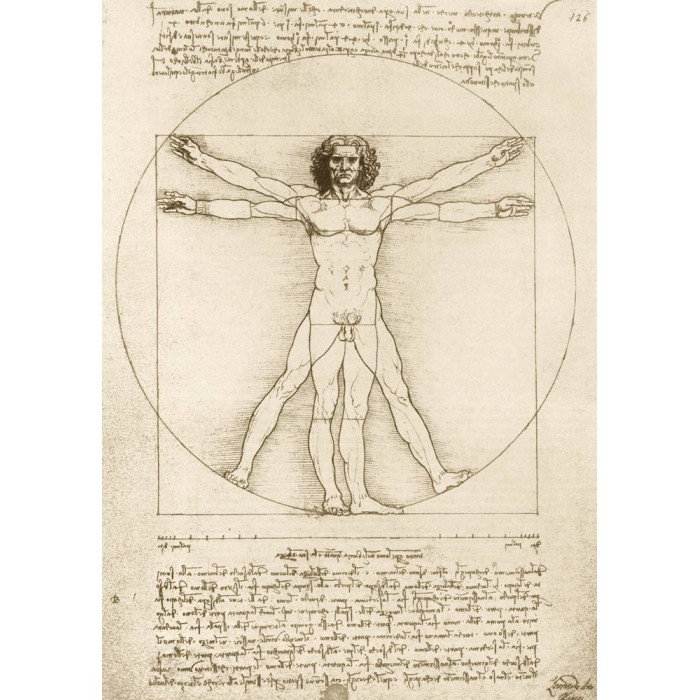 Puzzle  Art-by-Bluebird-F-60211 Leonardo Da Vinci - The Vitruvian Man, 1490