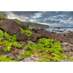 Puzzle   Côte Sud, La Réunion, France