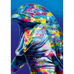 Puzzle   Dolphin