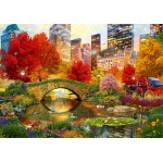 Puzzle  Bluebird-Puzzle-F-90869 Central Park NYC