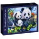 Panda Family