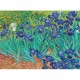 Vincent Van Gogh - Les Iris, 1889