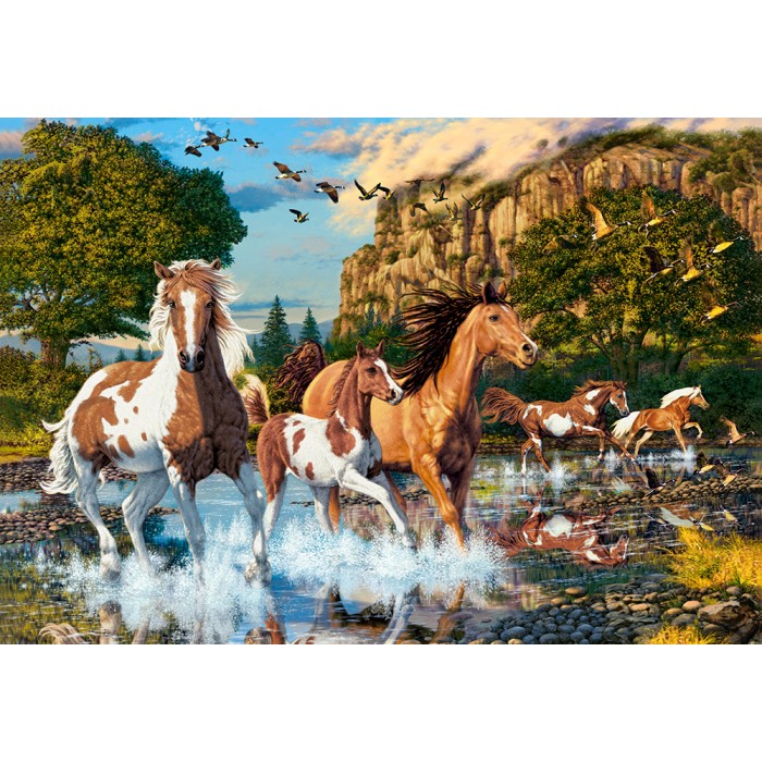 Puzzle  Castorland-104789 Le Pays des Merveilles du Cheval