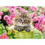 Puzzle  Castorland-111039 Kitten in Flower Garden