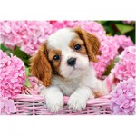 Puzzle  Castorland-52233 Chiot en Fleurs Roses