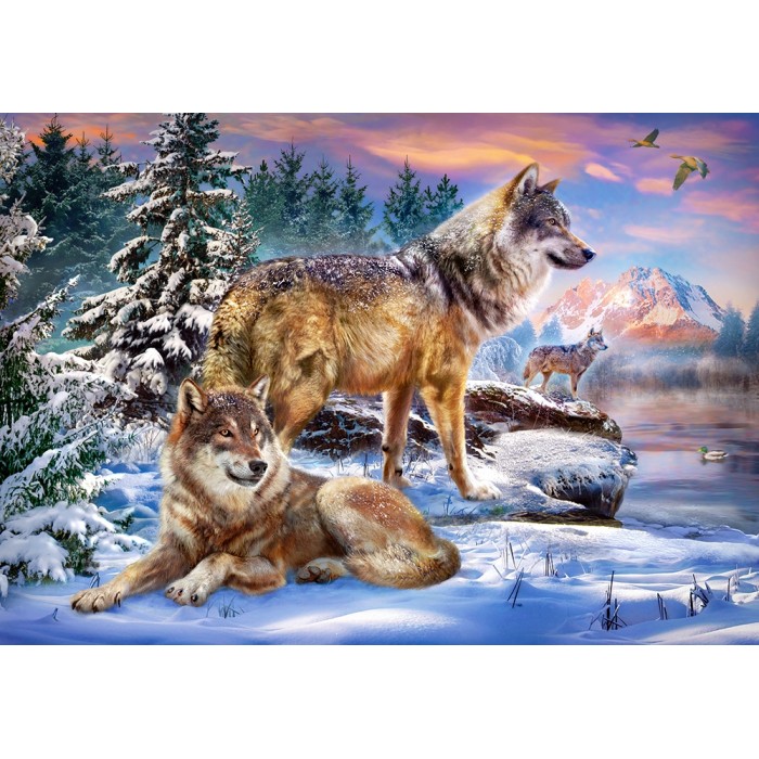 Puzzle  Castorland-53049 Le Pays Merveilleux des Loups