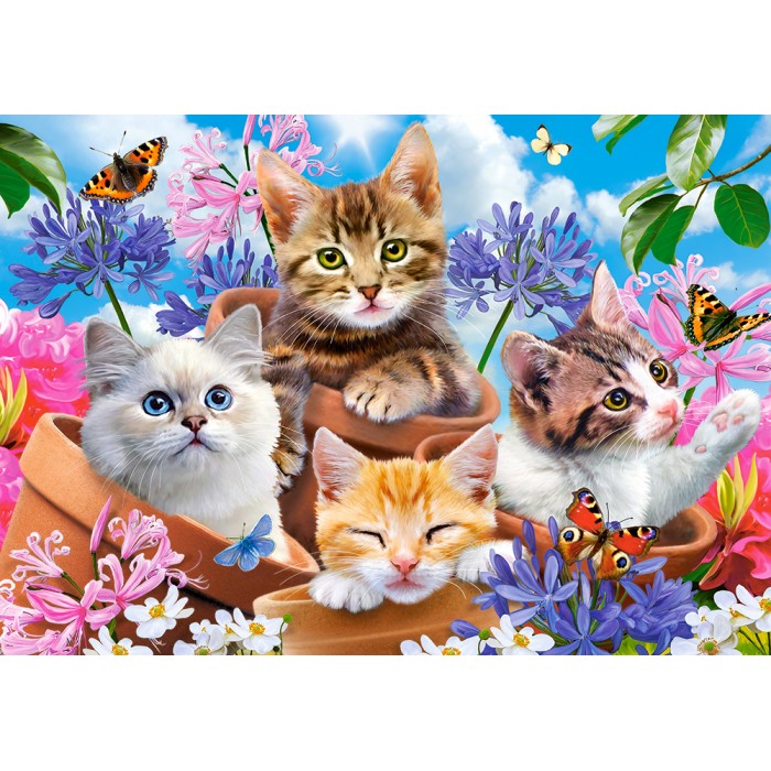 Puzzle Castorland-53513 Chats avec Fleurs