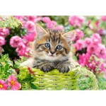 Puzzle   Kitten in Flower Garden