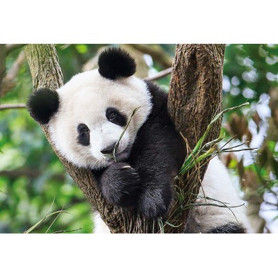 Puzzle Clementoni-27997 WWF - Panda