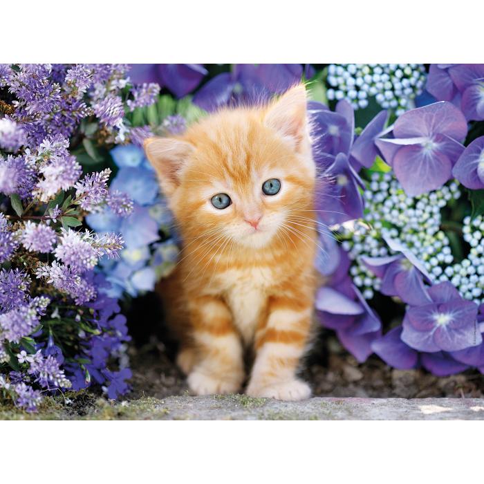 Puzzle  Clementoni-30415 Chaton dans les Fleurs