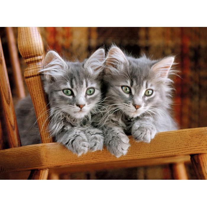 Puzzle  Clementoni-30545 Chatons Gris sur la Chaise