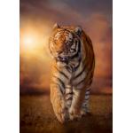 Puzzle  Clementoni-31806 Tigre