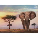 Puzzle  Clementoni-35096 African Sunset
