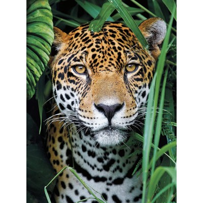 Puzzle Clementoni-35127 Jaguar dans la Jungle