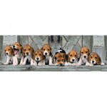 Puzzle  Clementoni-39435 Beagles