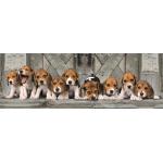 Puzzle  Clementoni-39869 Les Beagles