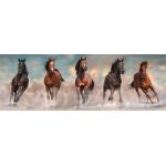 Puzzle  Clementoni-39875 Chevaux au Galop II