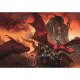 Donjons & Dragons