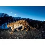 Puzzle   National Geographic - Léopard dans la Neige