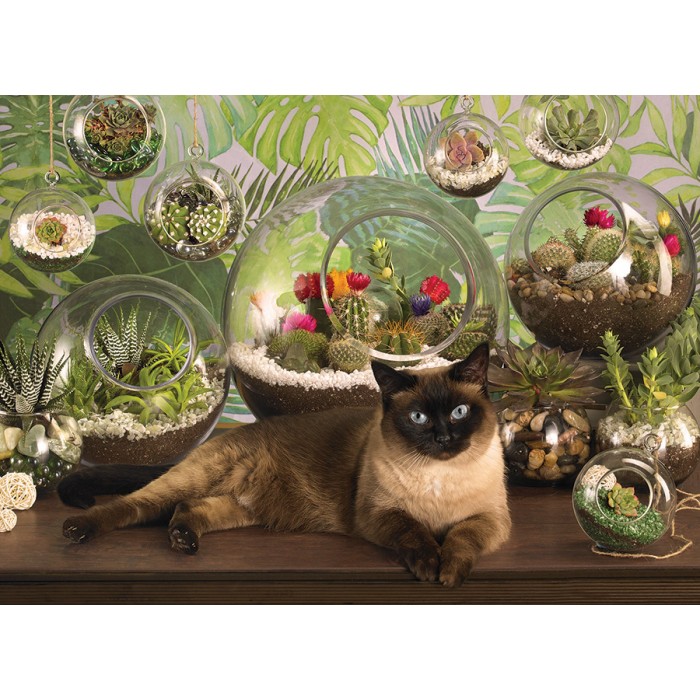 Puzzle  Cobble-Hill-40142 Terrarium Cat