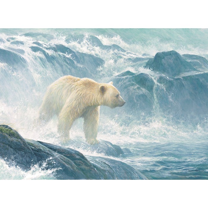 Pièces XXL - Salmon Watch - Spirit Bear