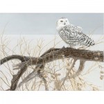 Puzzle  Cobble-Hill-45050 Pièces XXL - Fallen Willow Snowy Owl