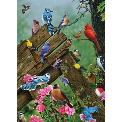 Puzzle Cobble-Hill-51781 Oiseaux de la Forêt