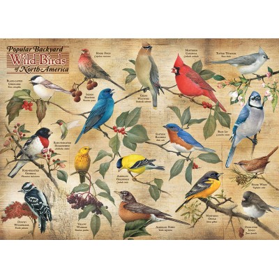Puzzle Cobble-Hill-80024 Popular Backyard Wild Birds of N.A.
