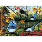 Puzzle   Blue Jay And Friends