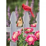 Puzzle   Cardinals and Peonies