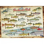 Puzzle   Freshwater Fish of North America