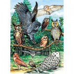 Puzzle   North American Owls