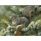 Pièces XXL - Rosemary Millette - Gray Squirrel
