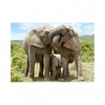 Puzzle  Dino-53295 Famille d'Eléphants