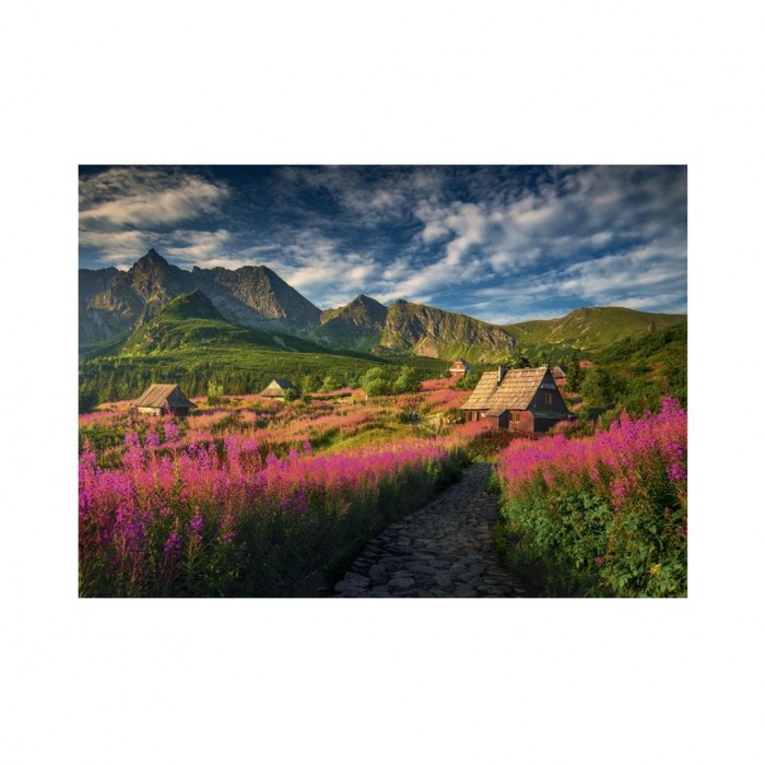 Puzzle  Dino-53300 Vallée de la Gasienica
