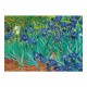 Vincent Van Gogh - Les Iris