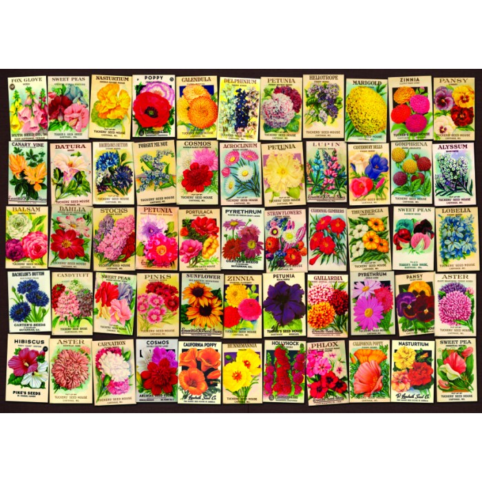 Puzzle  Dtoys-74492 Vintage Collage - Fleurs