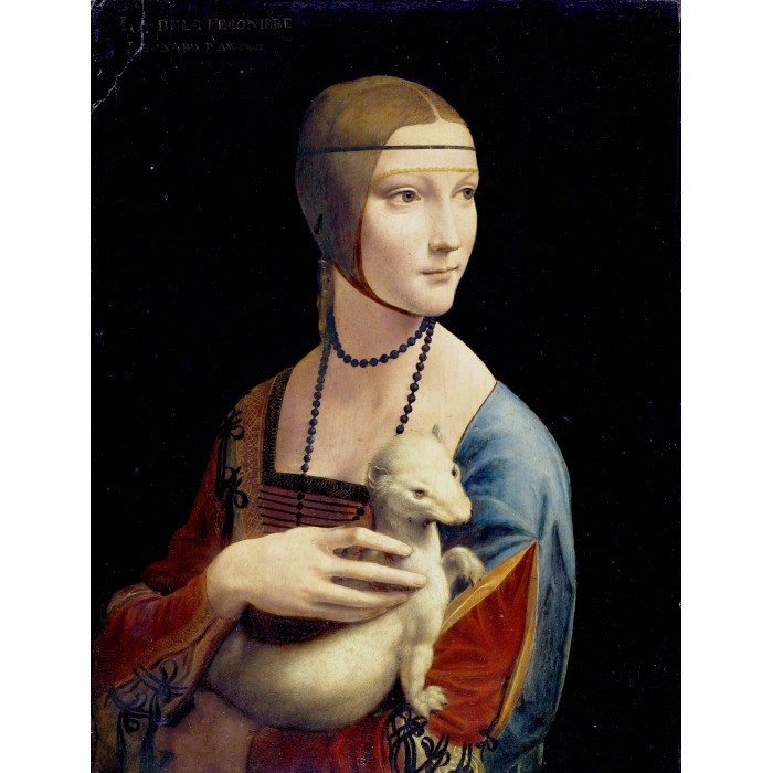Puzzle Dtoys-74973 Léonard De Vinci : La Dame à l'Hermine
