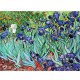 Van Gogh Vincent - Iris