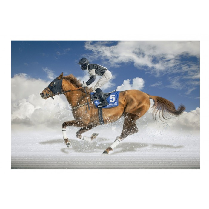 Puzzle Educa-16307 Finale De White Turf - Saint Moritz